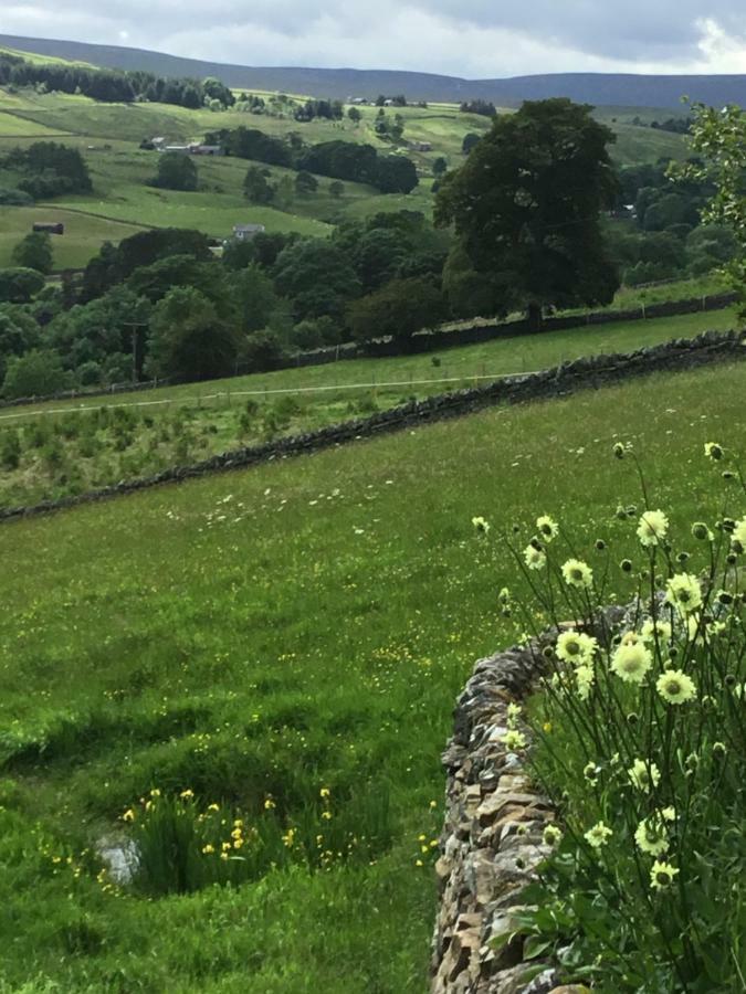 Weardale Cottage Saint Johns Chapel المظهر الخارجي الصورة