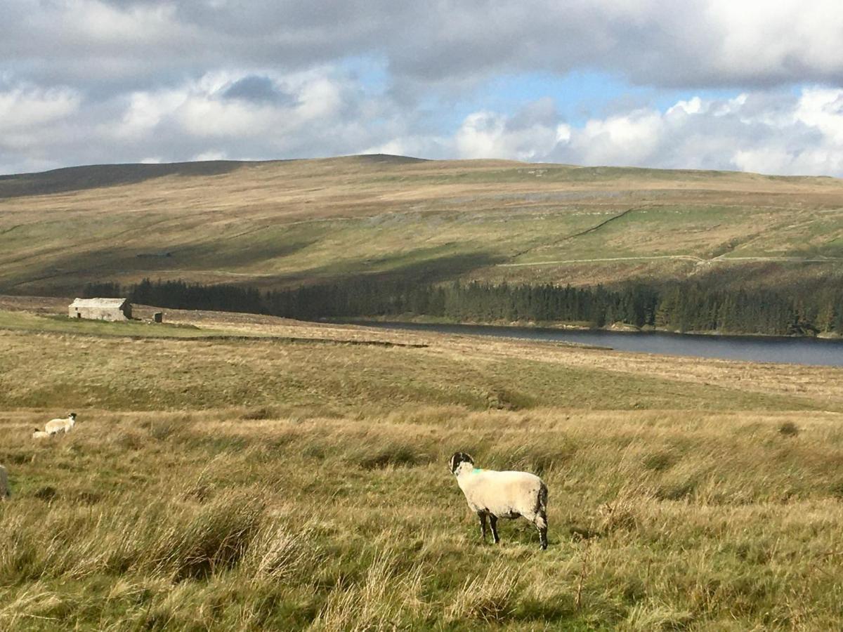 Weardale Cottage Saint Johns Chapel المظهر الخارجي الصورة